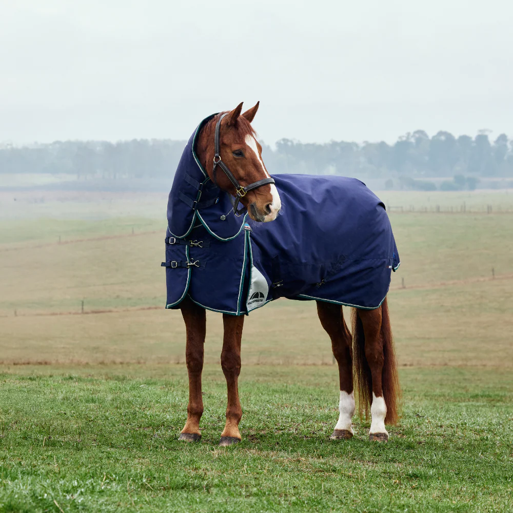Weatherbeeta Comfitec Plus Dynamic 100G Detach-A-Neck Turnout - Image 14