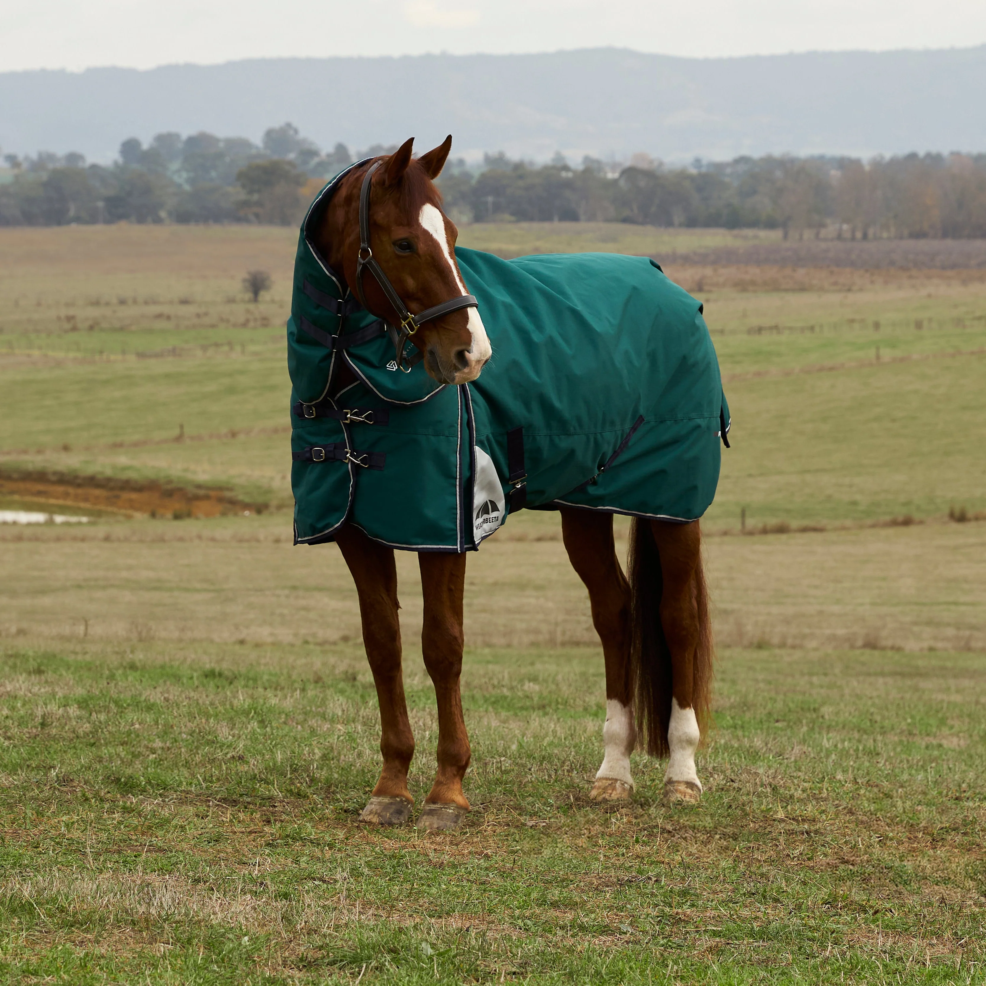 Weatherbeeta Comfitec Plus Dynamic 100G Detach-A-Neck Turnout - Image 3