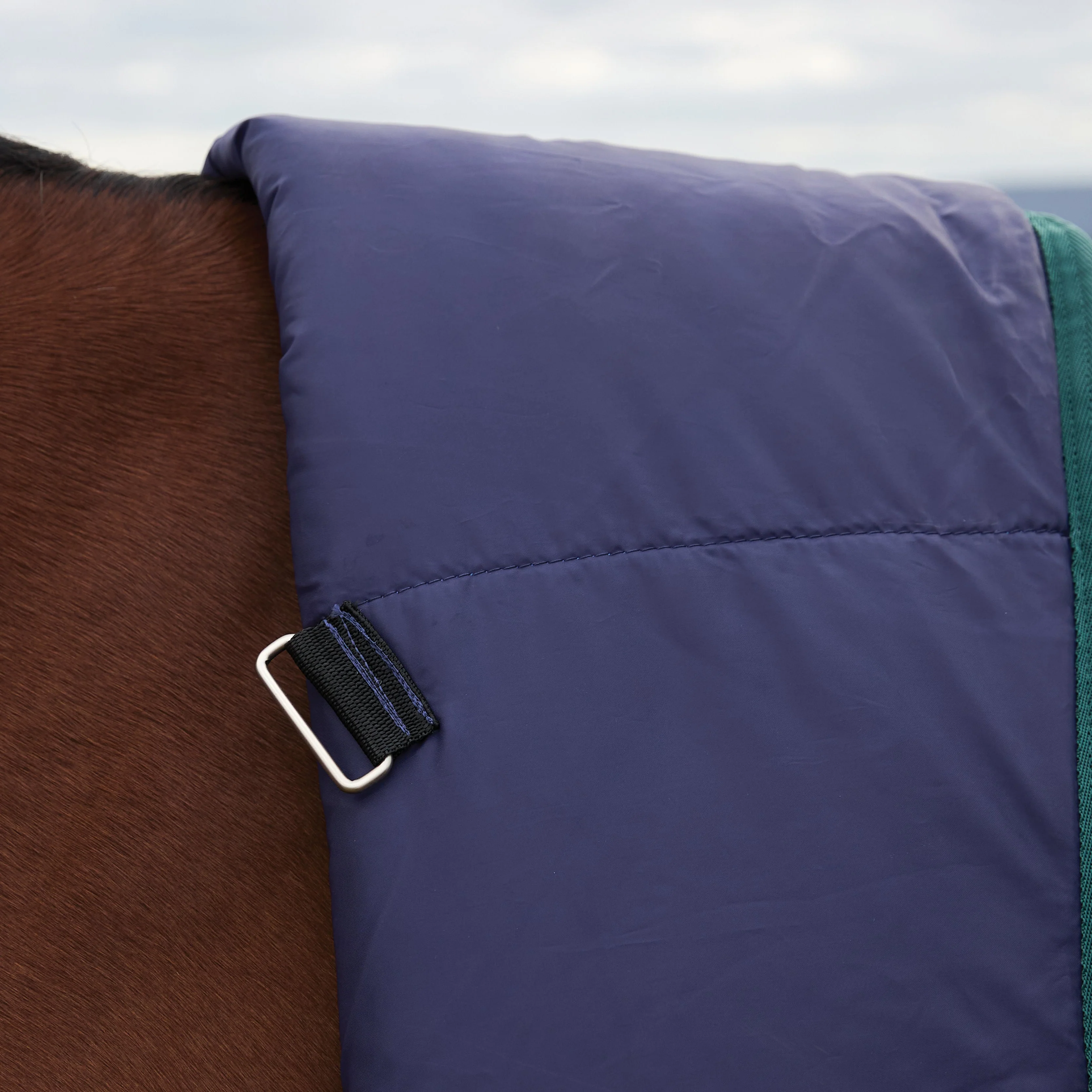 Weatherbeeta Comfitec Plus Dynamic 100G High Neck Turnout - Image 11