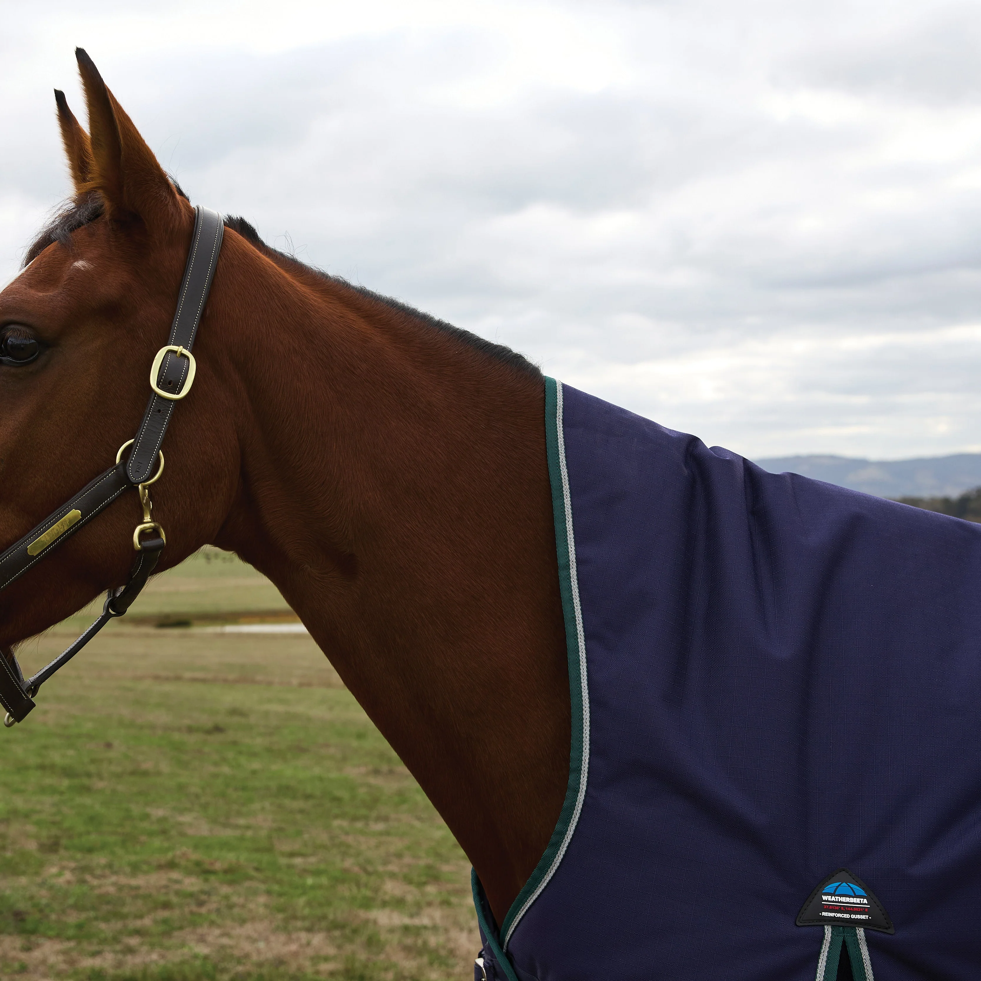 Weatherbeeta Comfitec Plus Dynamic 100G High Neck Turnout - Image 12