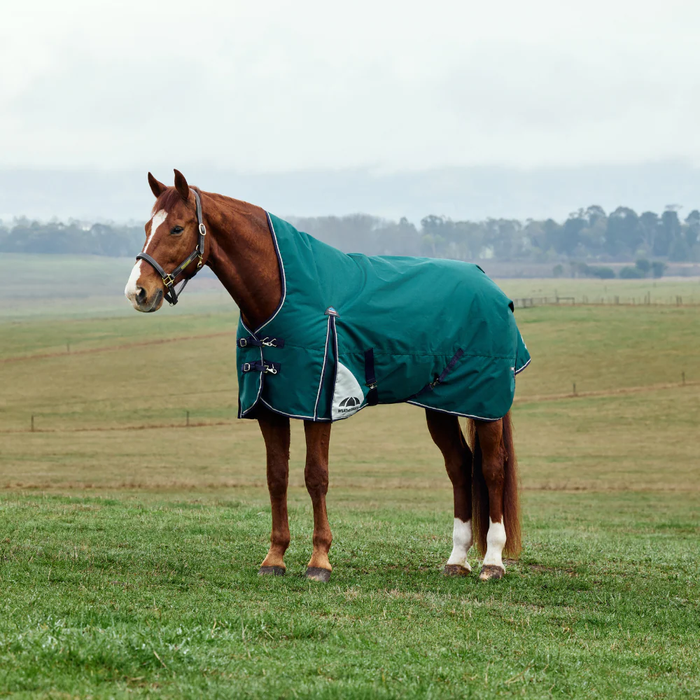 Weatherbeeta Comfitec Plus Dynamic 220G High Neck Turnout