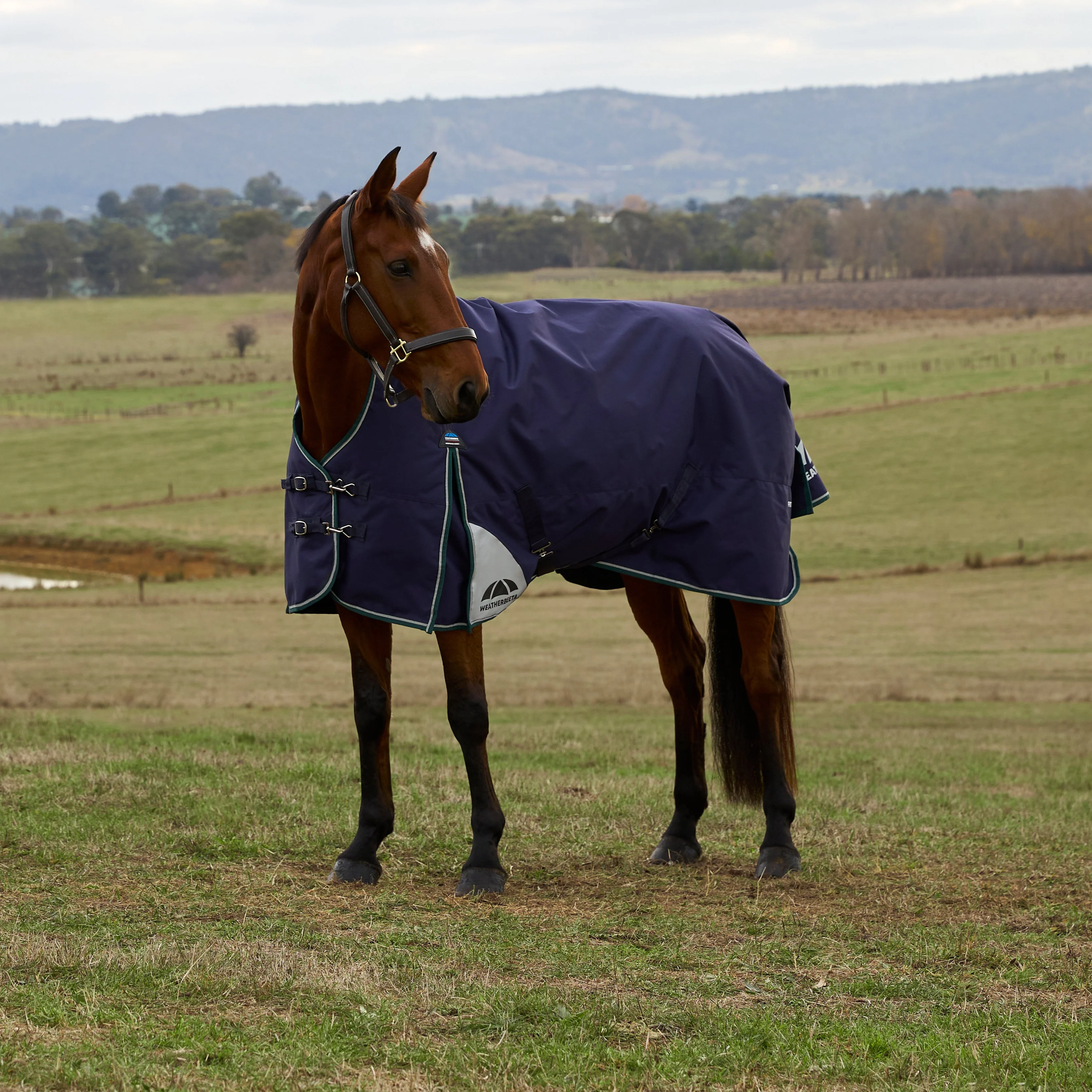 Weatherbeeta Comfitec Plus Dynamic 220G High Neck Turnout - Image 10