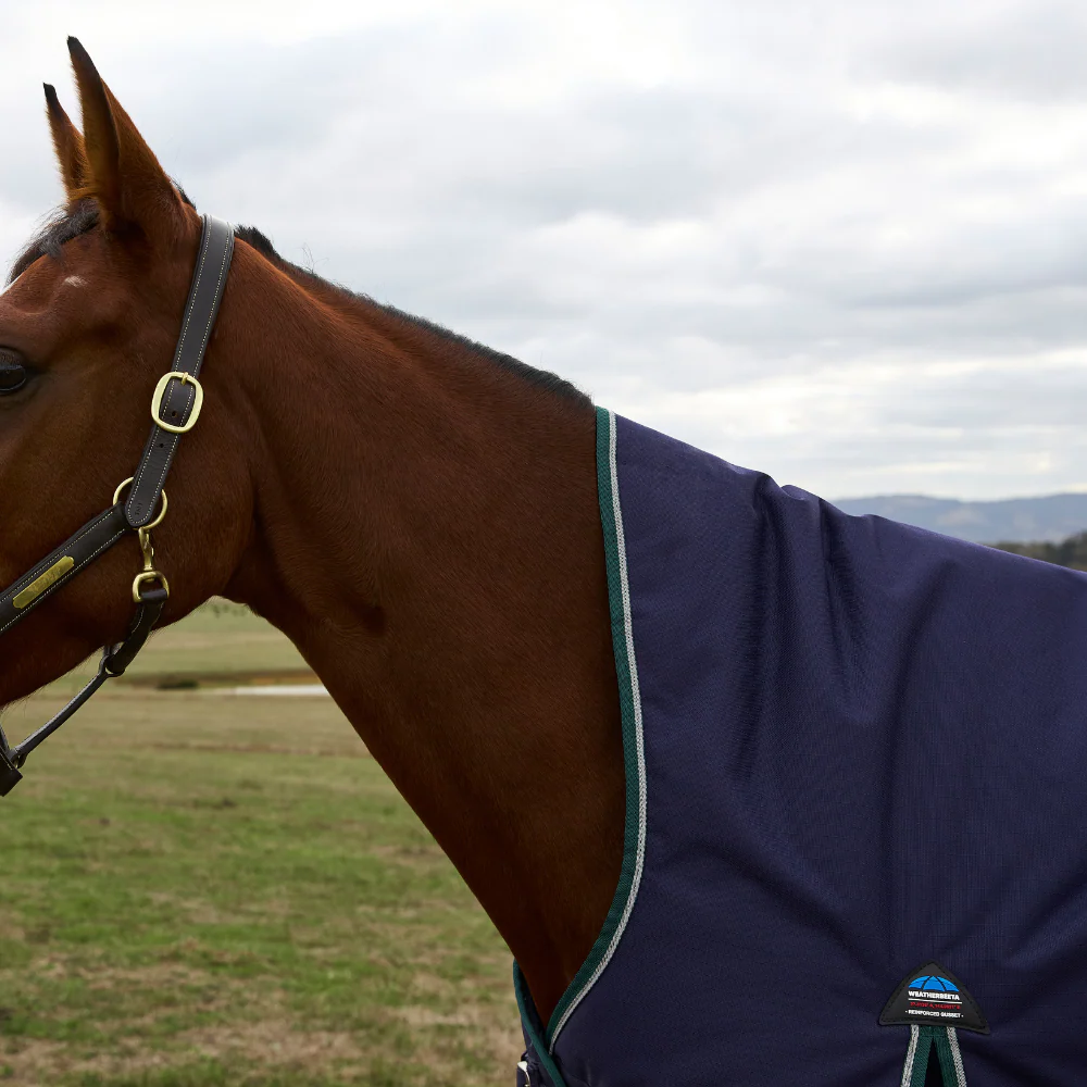 Weatherbeeta Comfitec Plus Dynamic 220G High Neck Turnout - Image 11