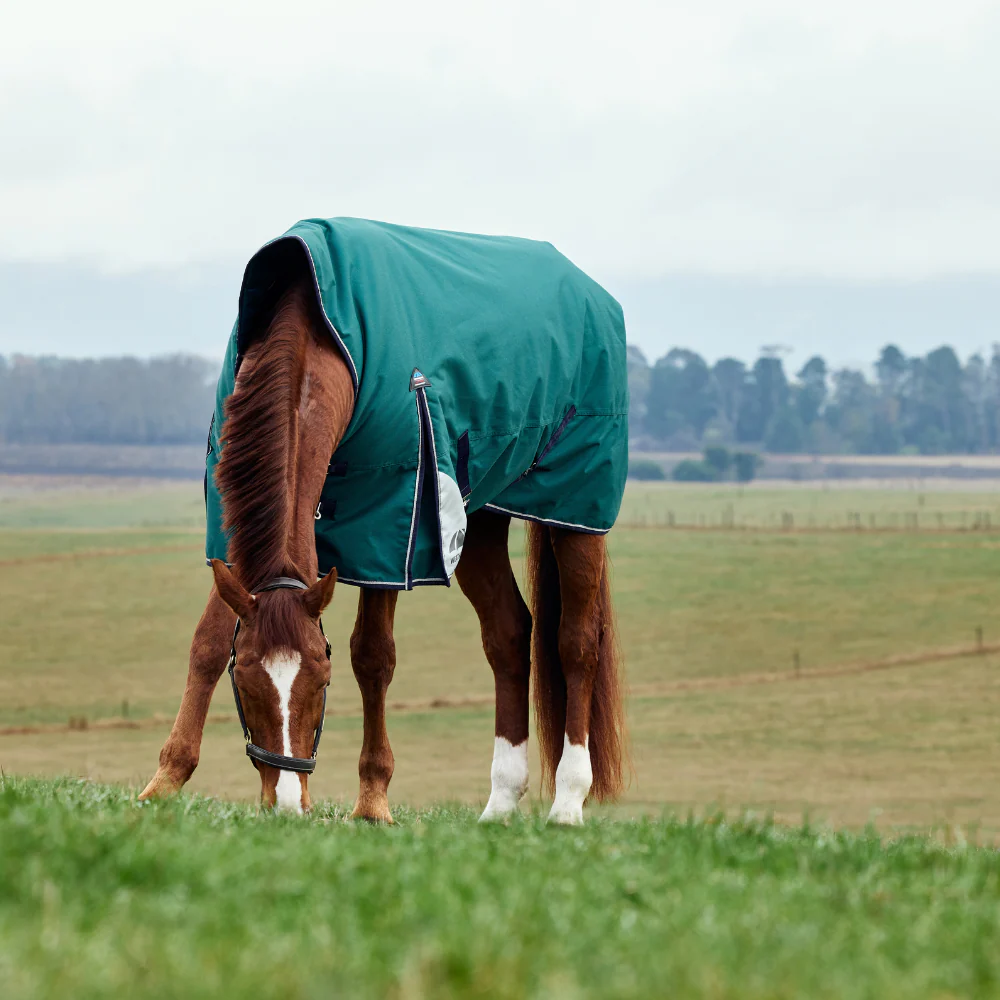 Weatherbeeta Comfitec Plus Dynamic 220G High Neck Turnout - Image 2