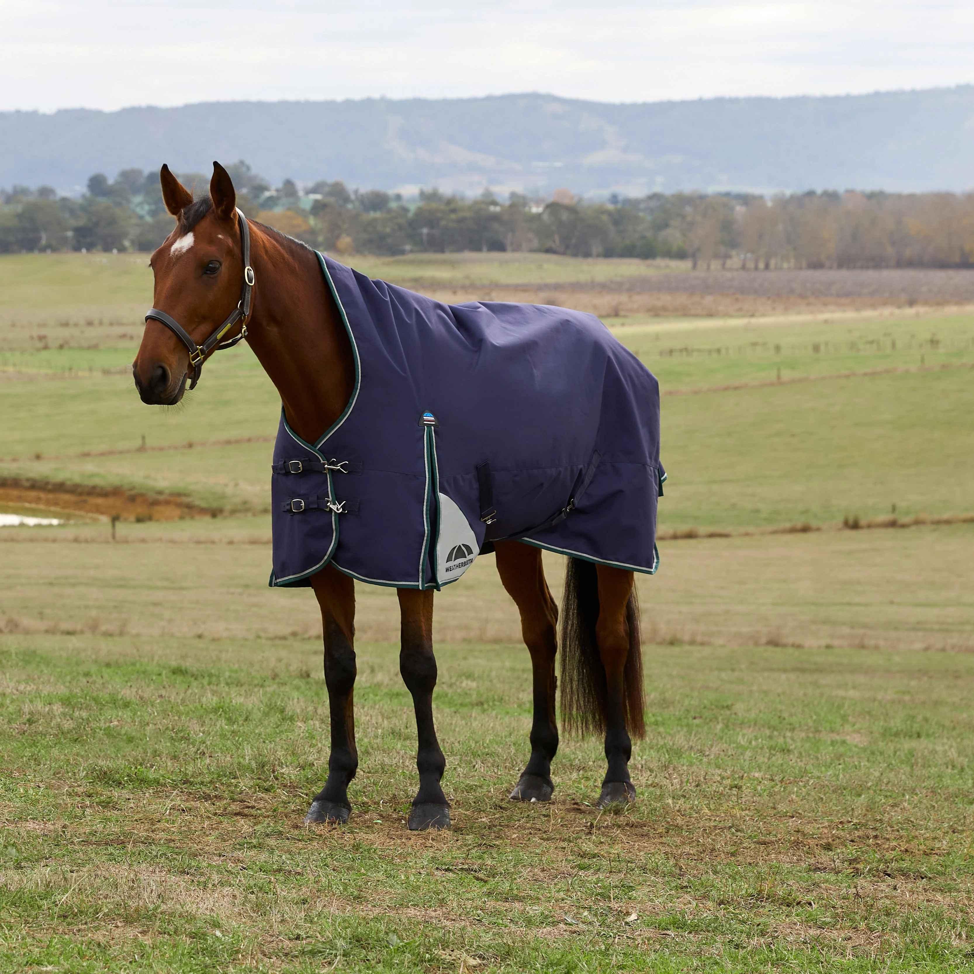 Weatherbeeta Comfitec Plus Dynamic 220G High Neck Turnout - Image 9