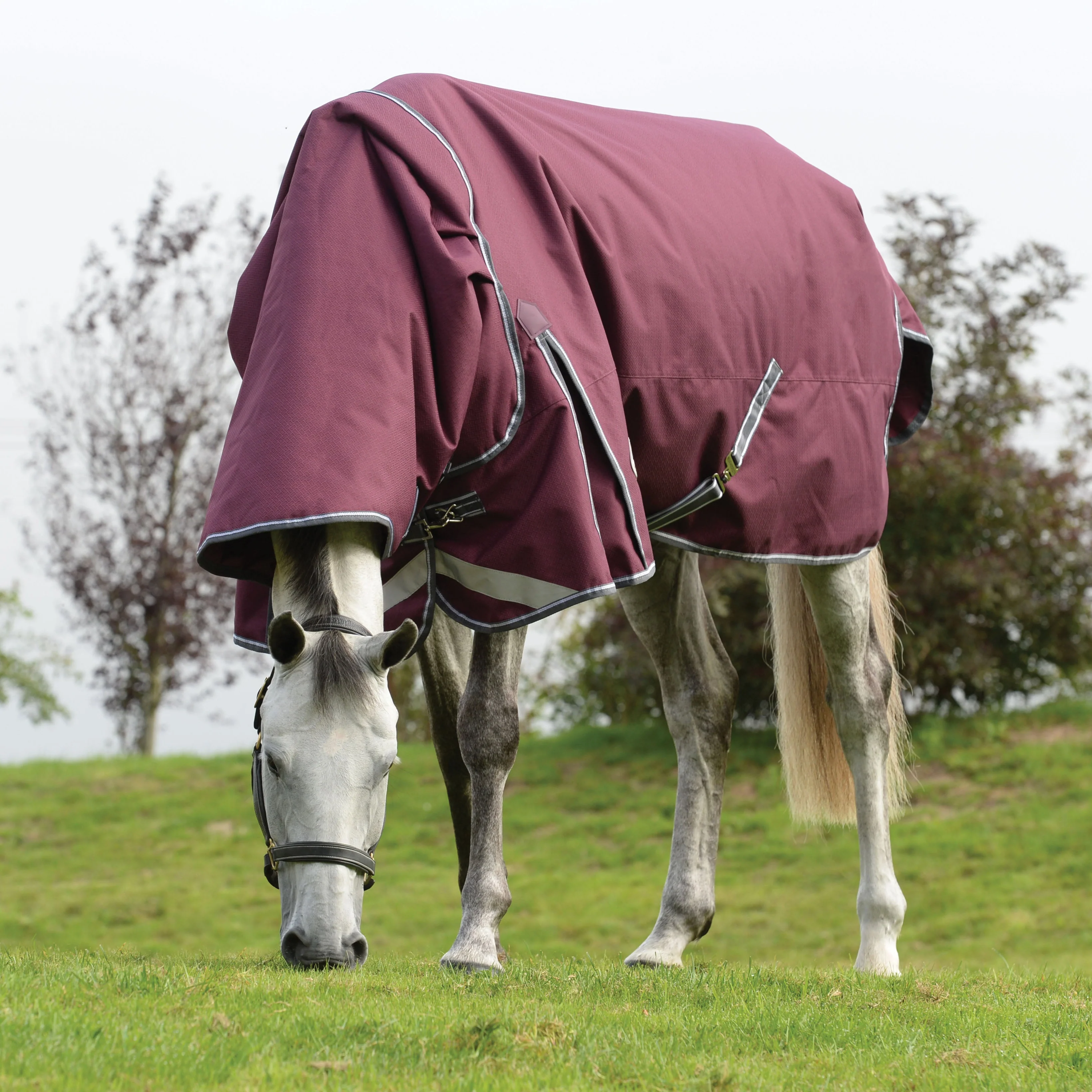 Weatherbeeta Comfitec Plus Dynamic II Detach-A-Neck Lite - Image 11