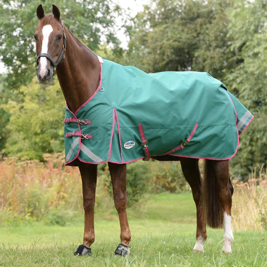 Weatherbeeta Comfitec Plus Dynamic II Standard Neck Lite - Image 21