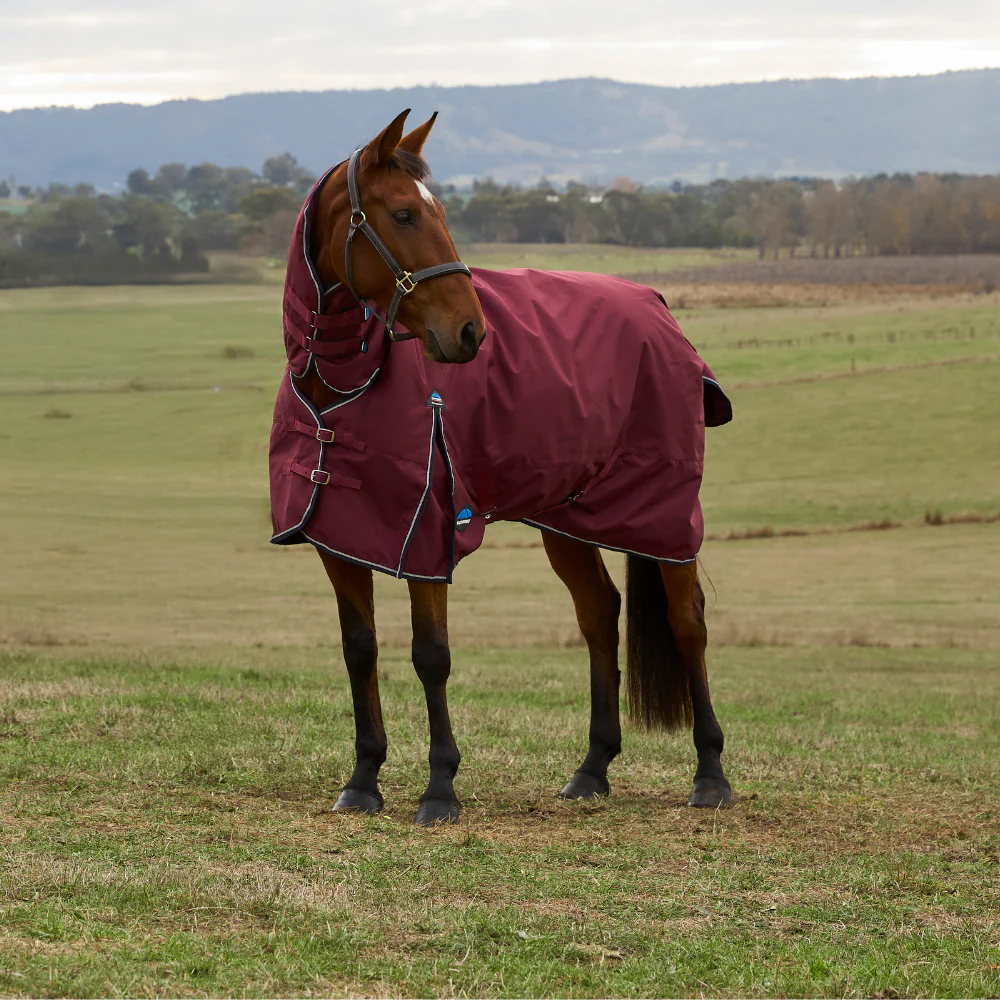 Weatherbeeta Comfitec Prelim 220G Combo Turnout - Image 2