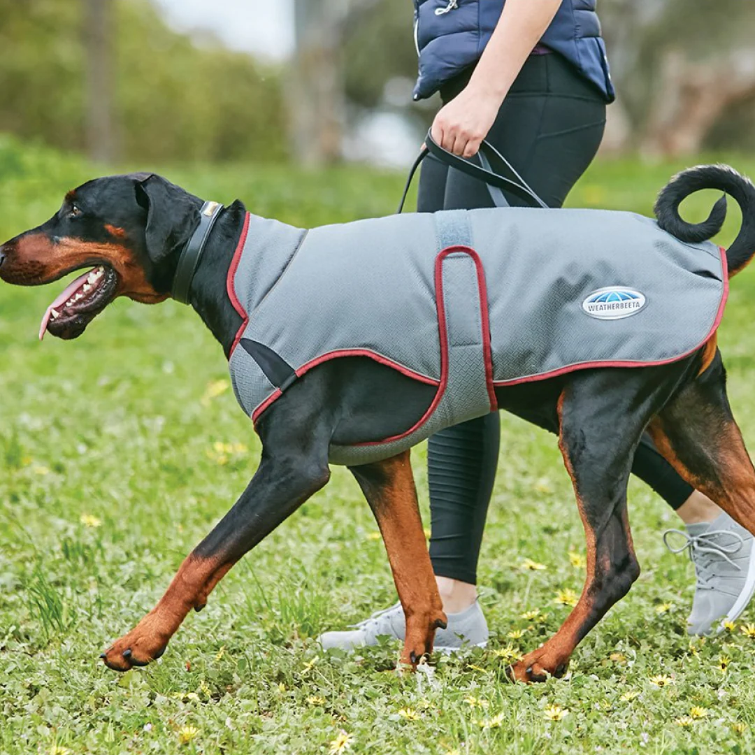 Weatherbeeta Comfitec Premier Free Parka Deluxe Dog Coat Medium - Image 8