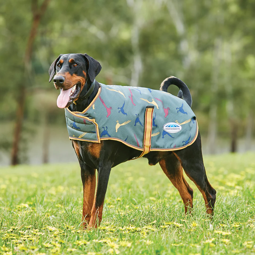 Weatherbeeta Comfitec Premier Free Parka Dog Coat Medium - Image 10