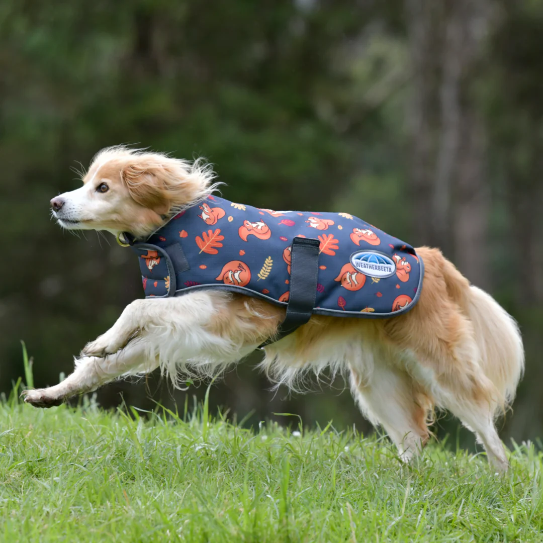 Weatherbeeta Comfitec Premier Free Parka Dog Coat Medium - Image 2