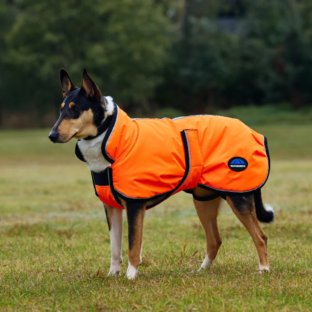 Weatherbeeta Comfitec Reflective 300D Deluxe Showerproof Dog Coat