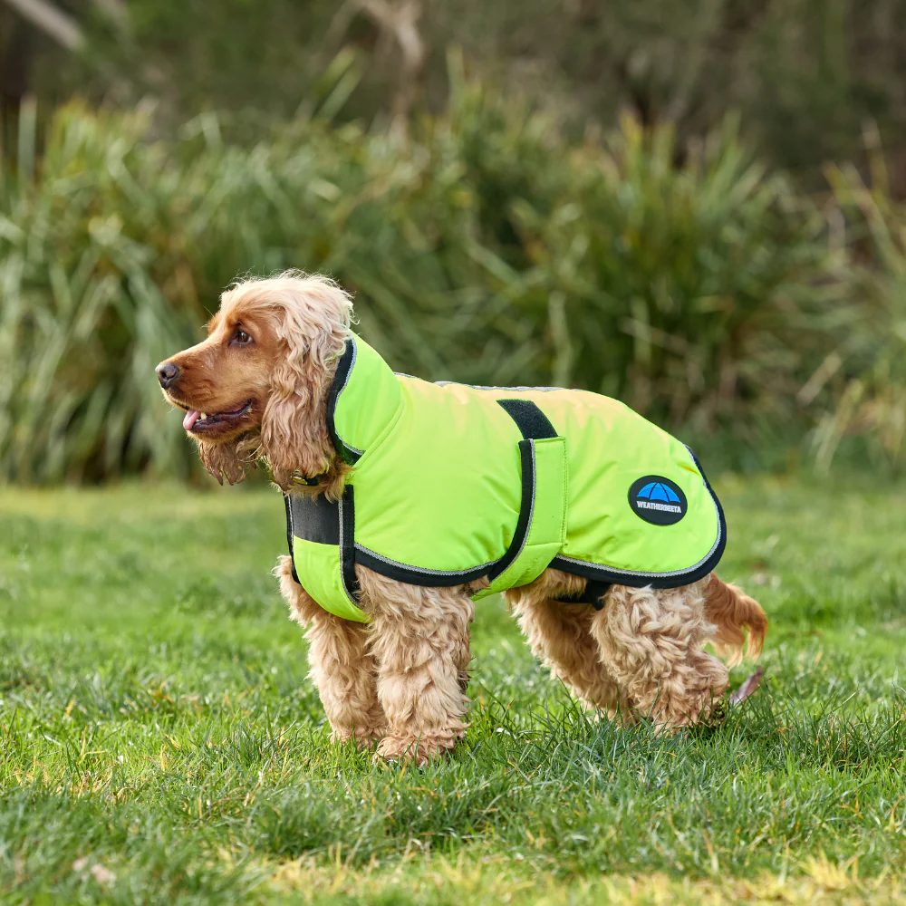 Weatherbeeta Comfitec Reflective 300D Deluxe Showerproof Dog Coat - Image 11