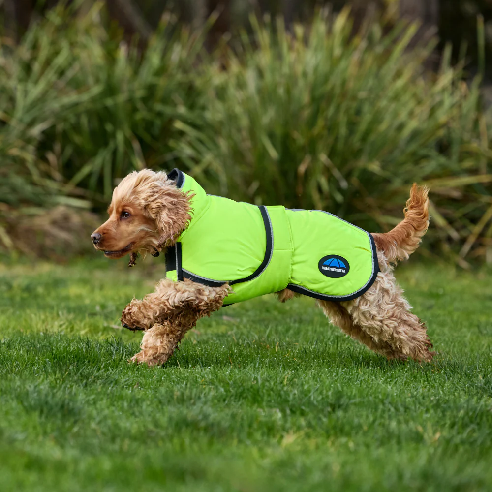 Weatherbeeta Comfitec Reflective 300D Deluxe Showerproof Dog Coat - Image 12