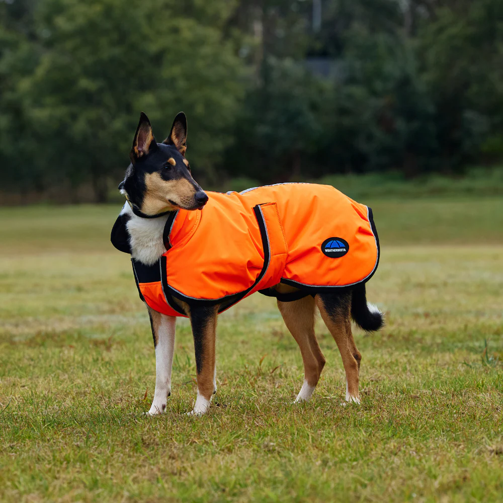 Weatherbeeta Comfitec Reflective 300D Deluxe Showerproof Dog Coat - Image 2
