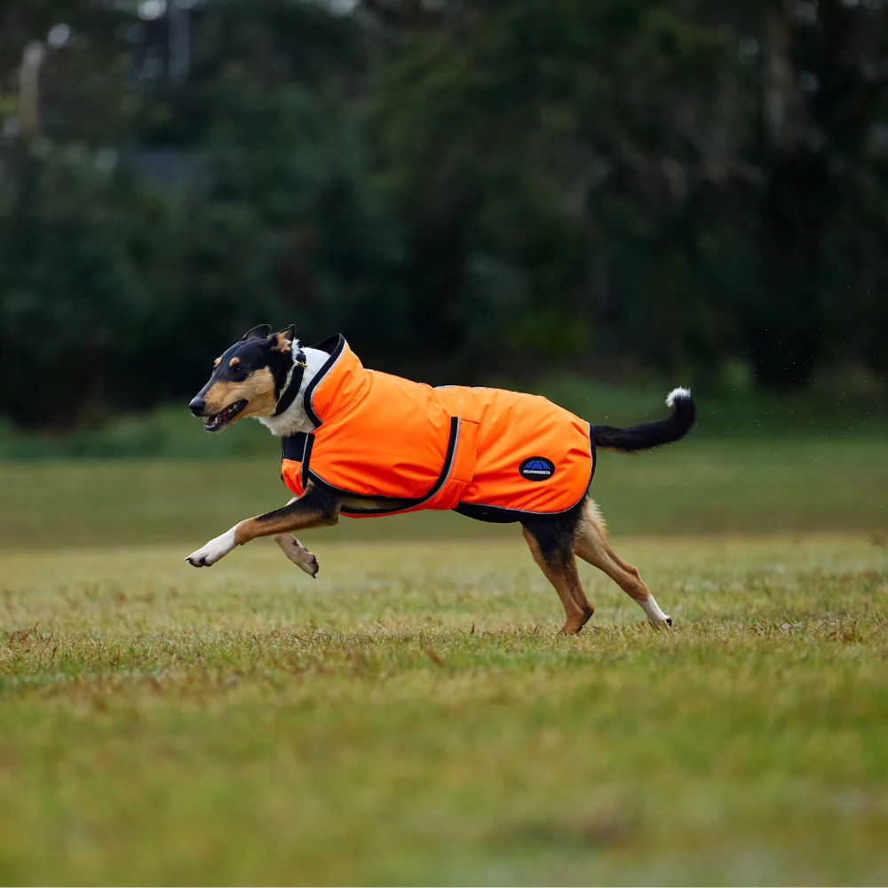 Weatherbeeta Comfitec Reflective 300D Deluxe Showerproof Dog Coat - Image 4