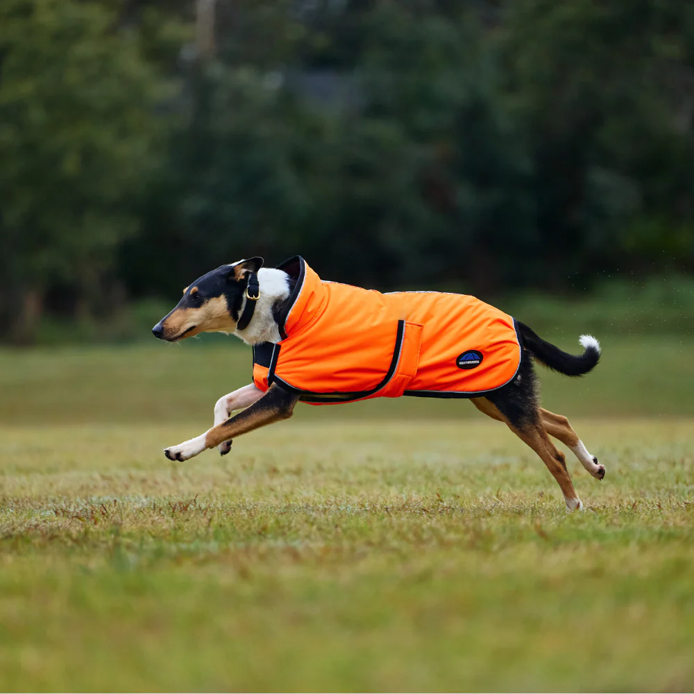 Weatherbeeta Comfitec Reflective 300D Deluxe Showerproof Dog Coat - Image 6