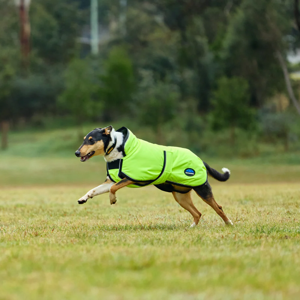 Weatherbeeta Comfitec Reflective 300D Deluxe Showerproof Dog Coat - Image 8