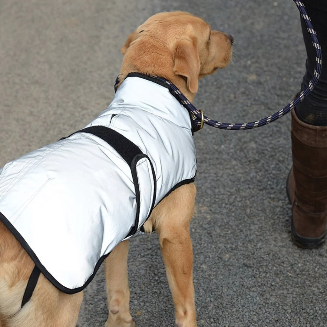 Weatherbeeta Comfitec Reflective Dog Coat Medium - Image 6