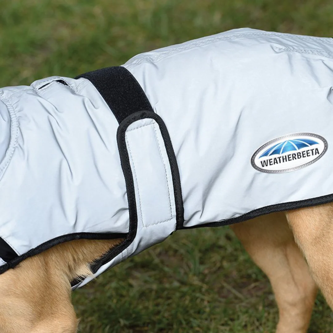 Weatherbeeta Comfitec Reflective Dog Coat Medium - Image 7