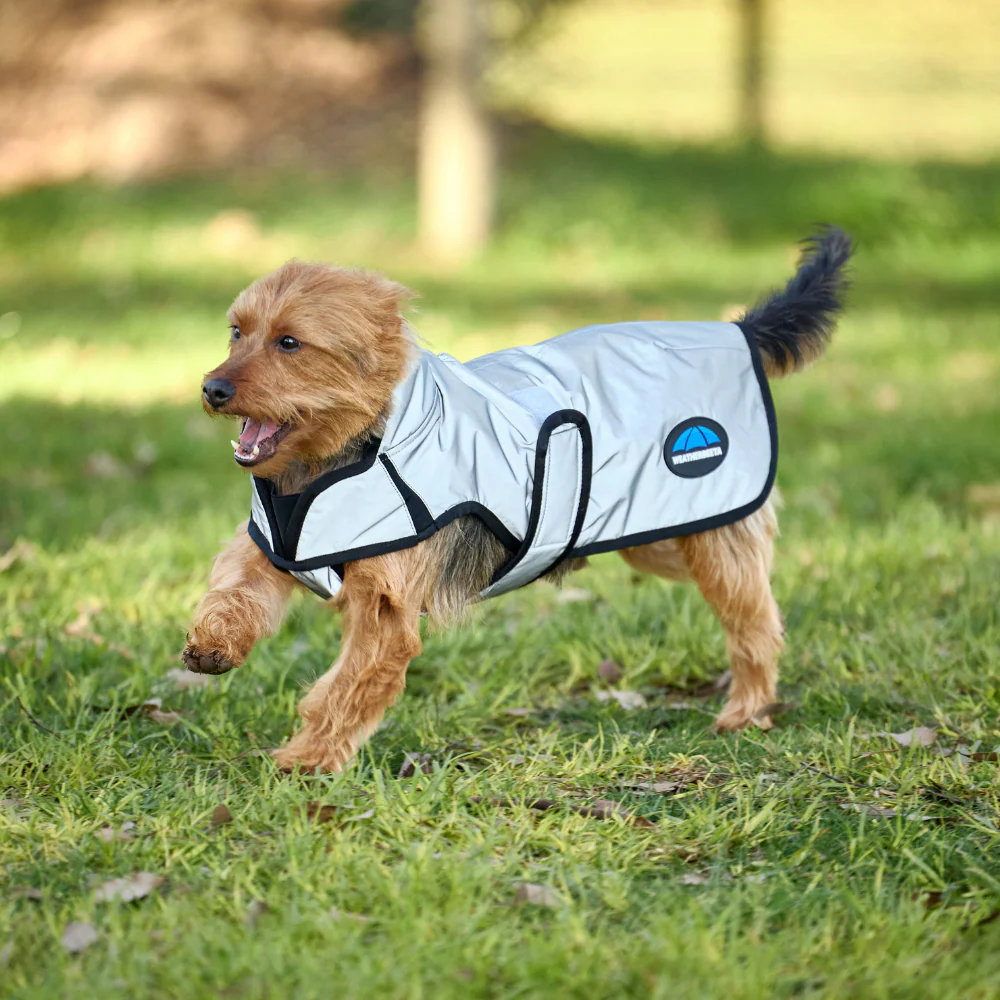 Weatherbeeta Comfitec Reflective Showerproof Dog Coat