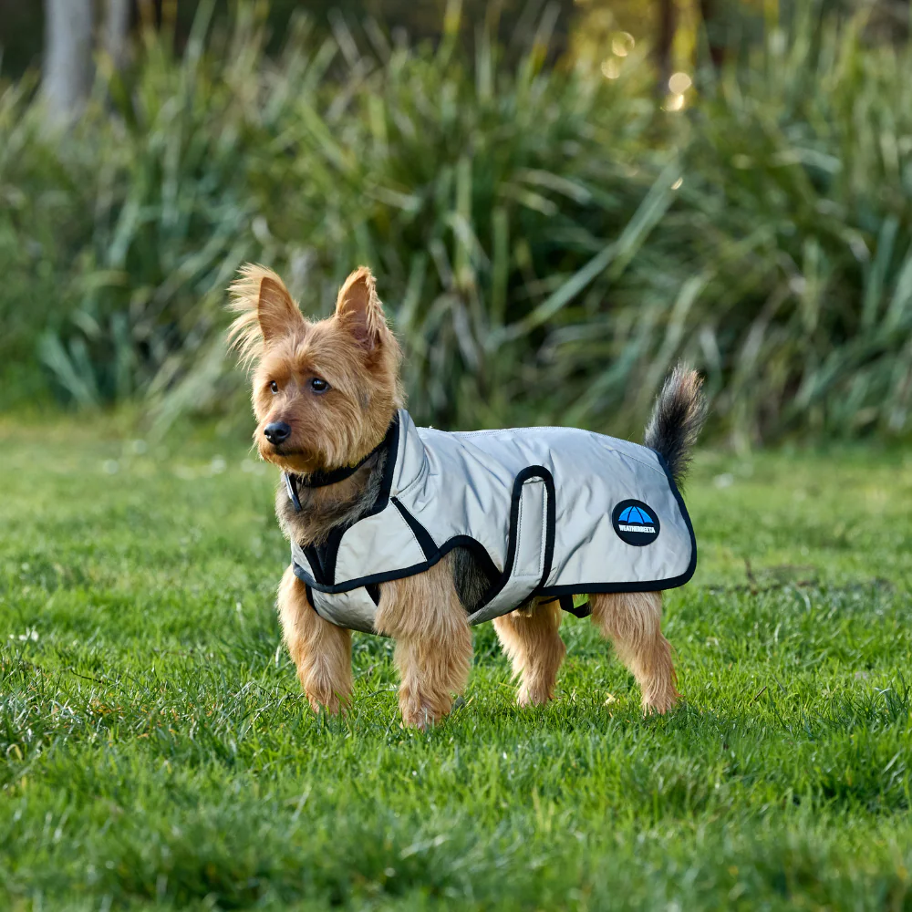 Weatherbeeta Comfitec Reflective Showerproof Dog Coat - Image 2