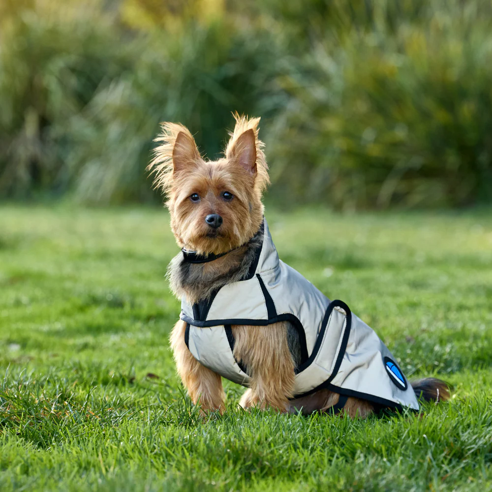 Weatherbeeta Comfitec Reflective Showerproof Dog Coat - Image 3