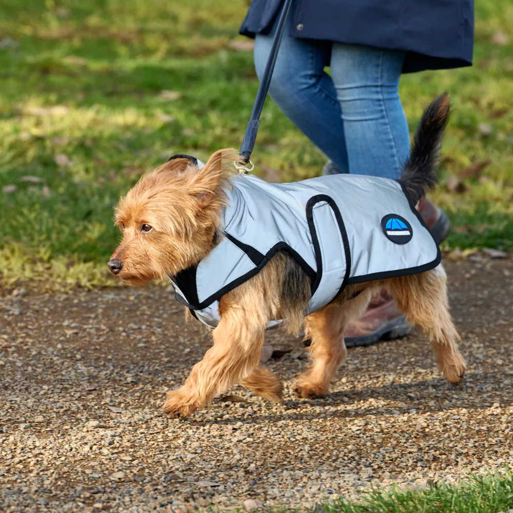 Weatherbeeta Comfitec Reflective Showerproof Dog Coat - Image 4