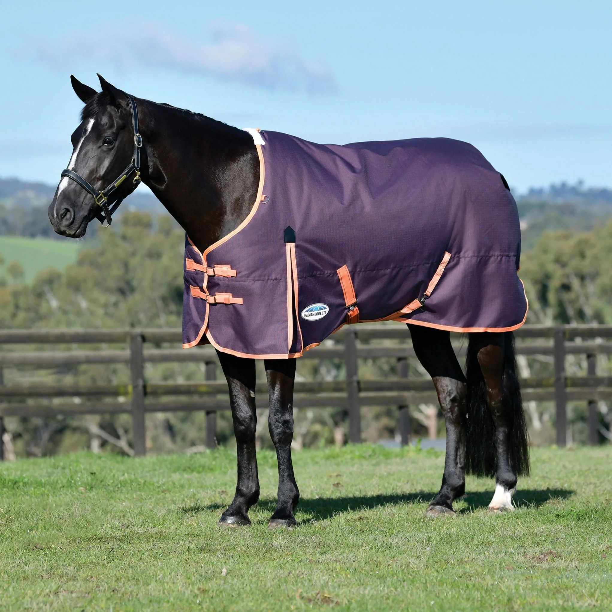 Weatherbeeta ComFiTec Essential Standard Neck Medium Turnout - Image 13