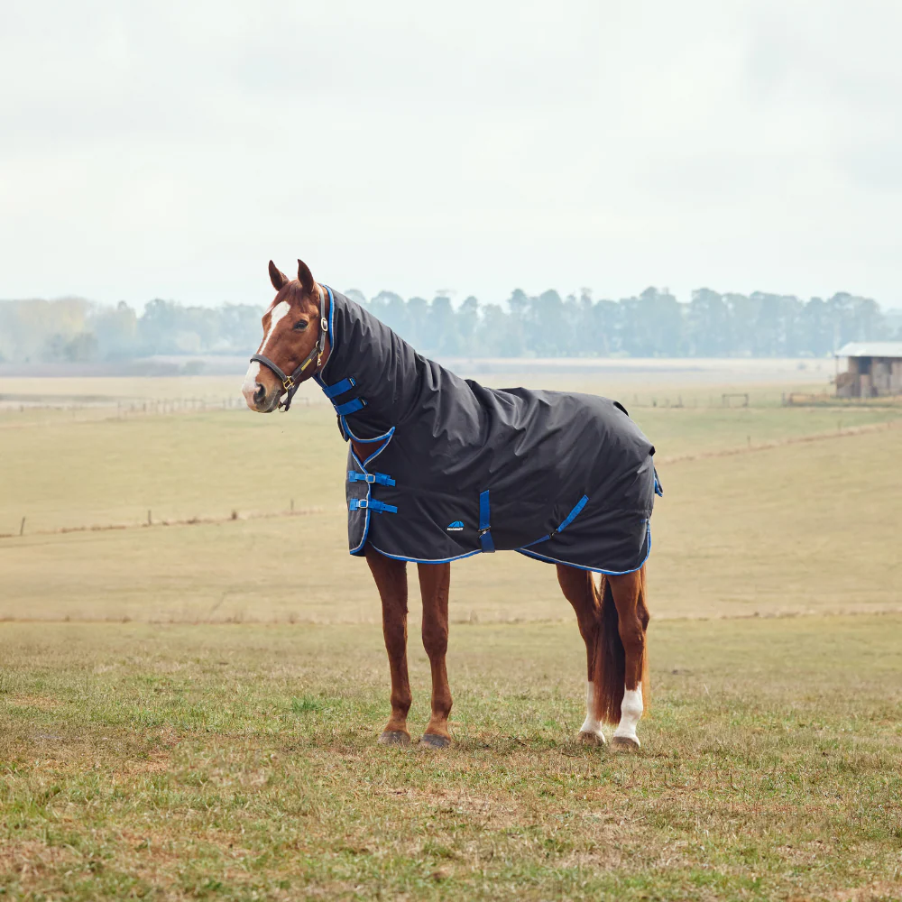 Weatherbeeta Comfitec Tyro 220G Combo Neck Turnout