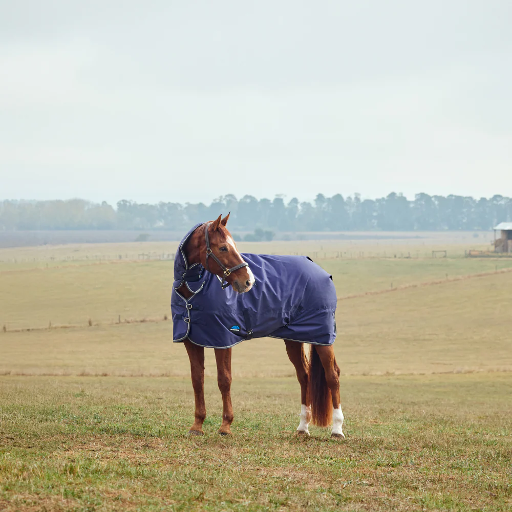 Weatherbeeta Comfitec Tyro 220G Combo Neck Turnout - Image 8