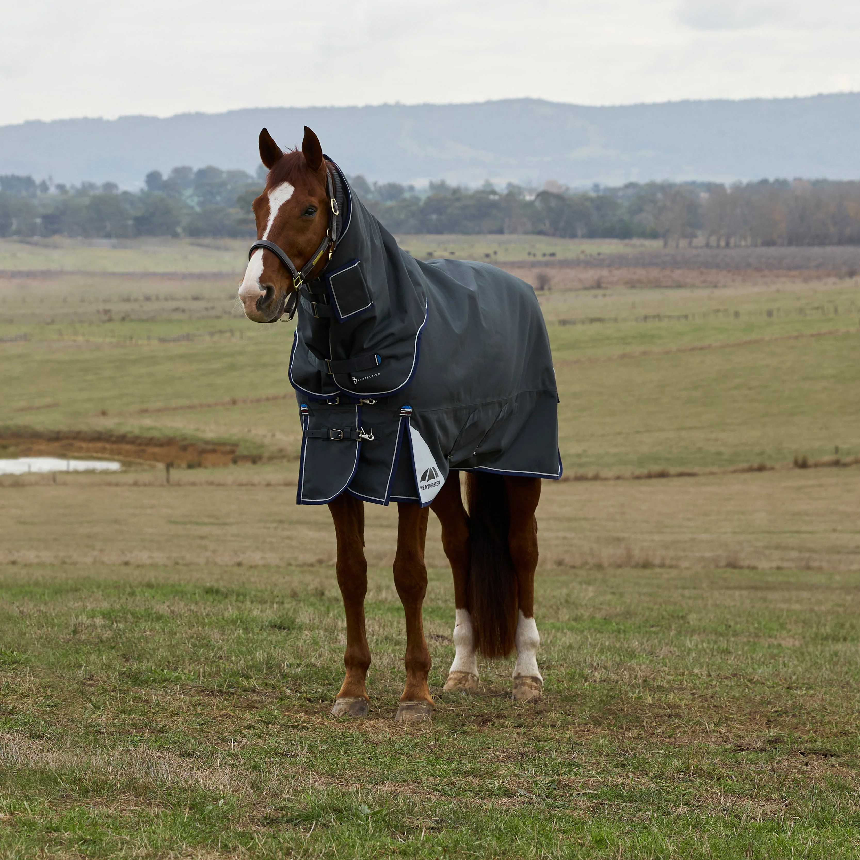 Weatherbeeta Comfitec Ultra 100G Detach-A-Neck Turnout