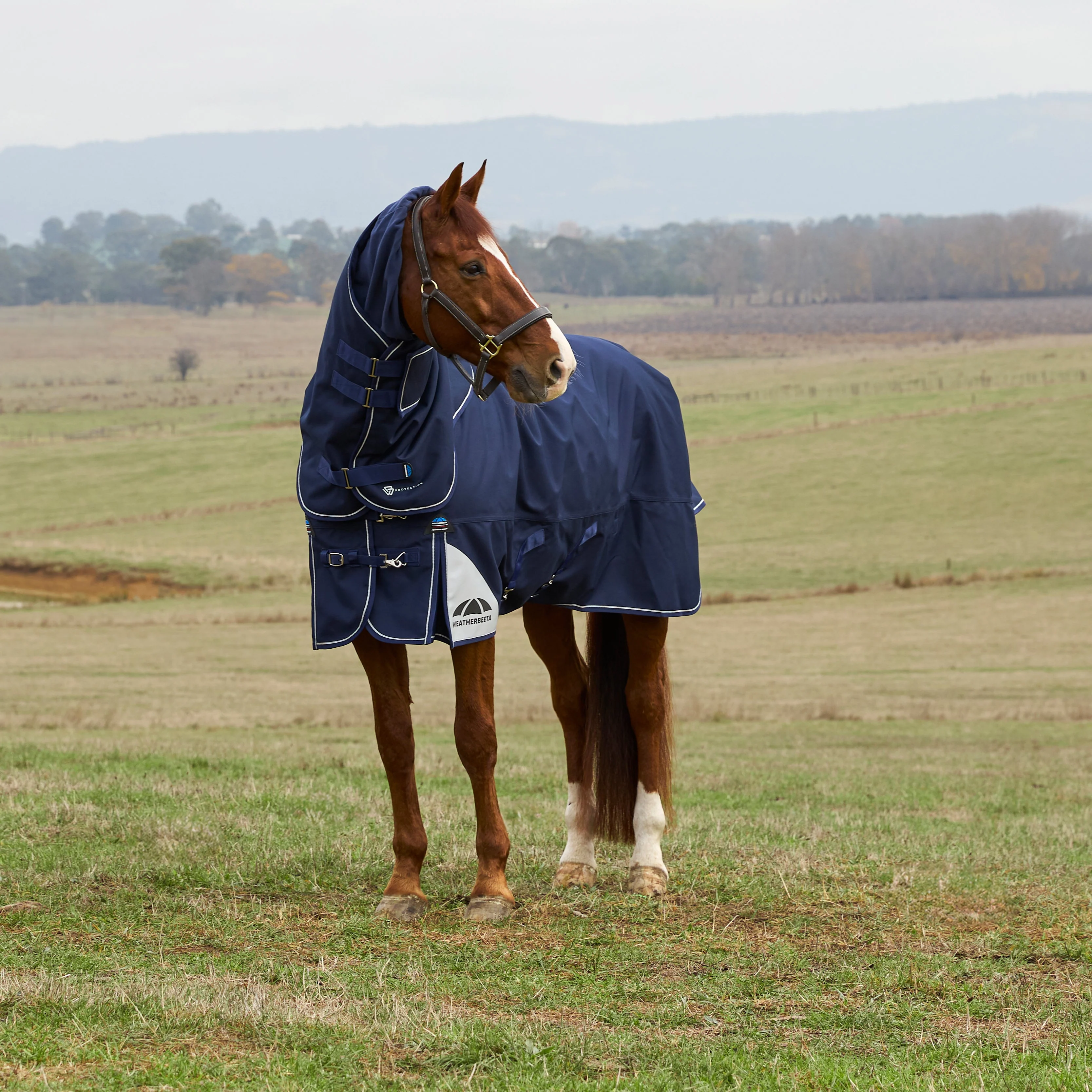 Weatherbeeta Comfitec Ultra 100G Detach-A-Neck Turnout - Image 18