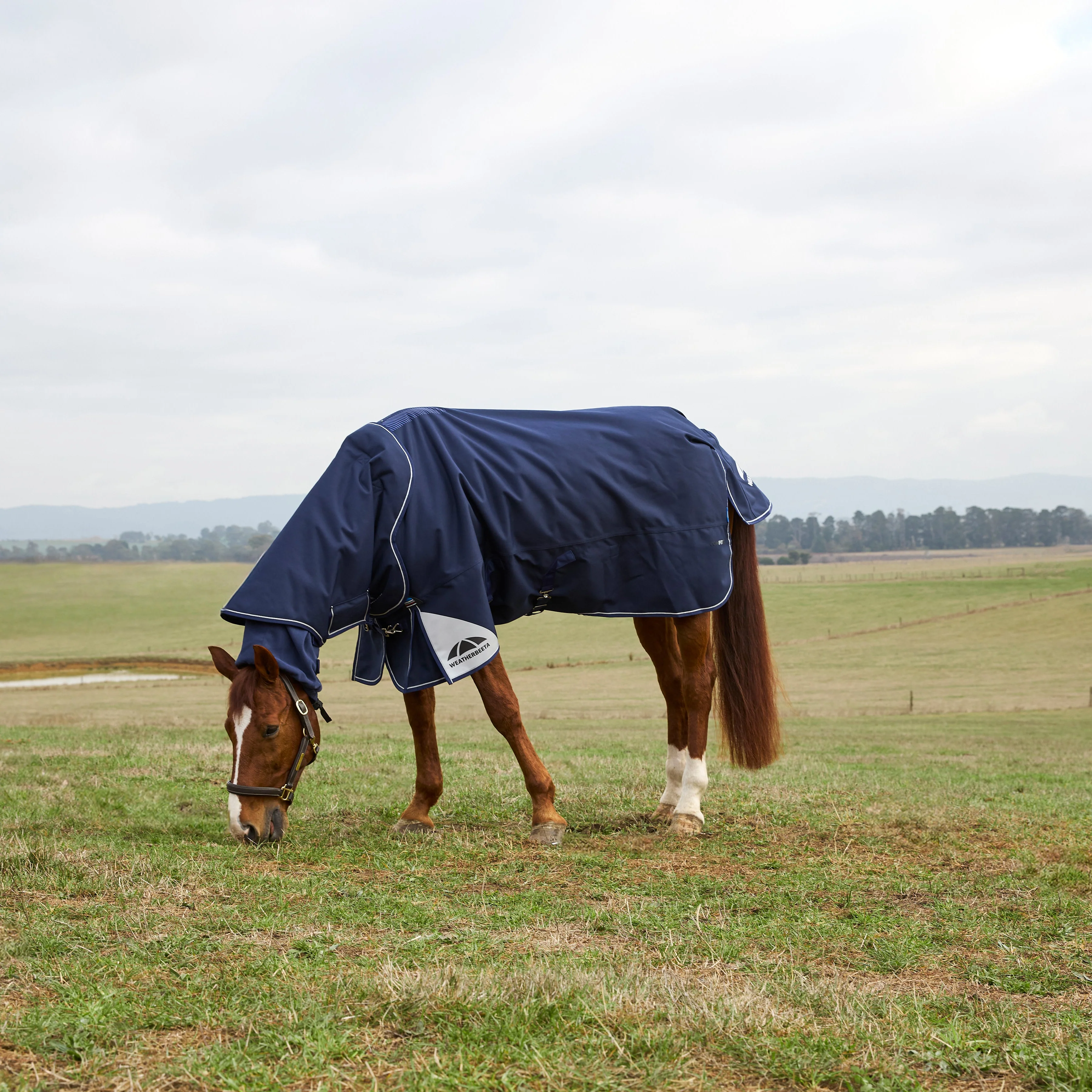 Weatherbeeta Comfitec Ultra 100G Detach-A-Neck Turnout - Image 19
