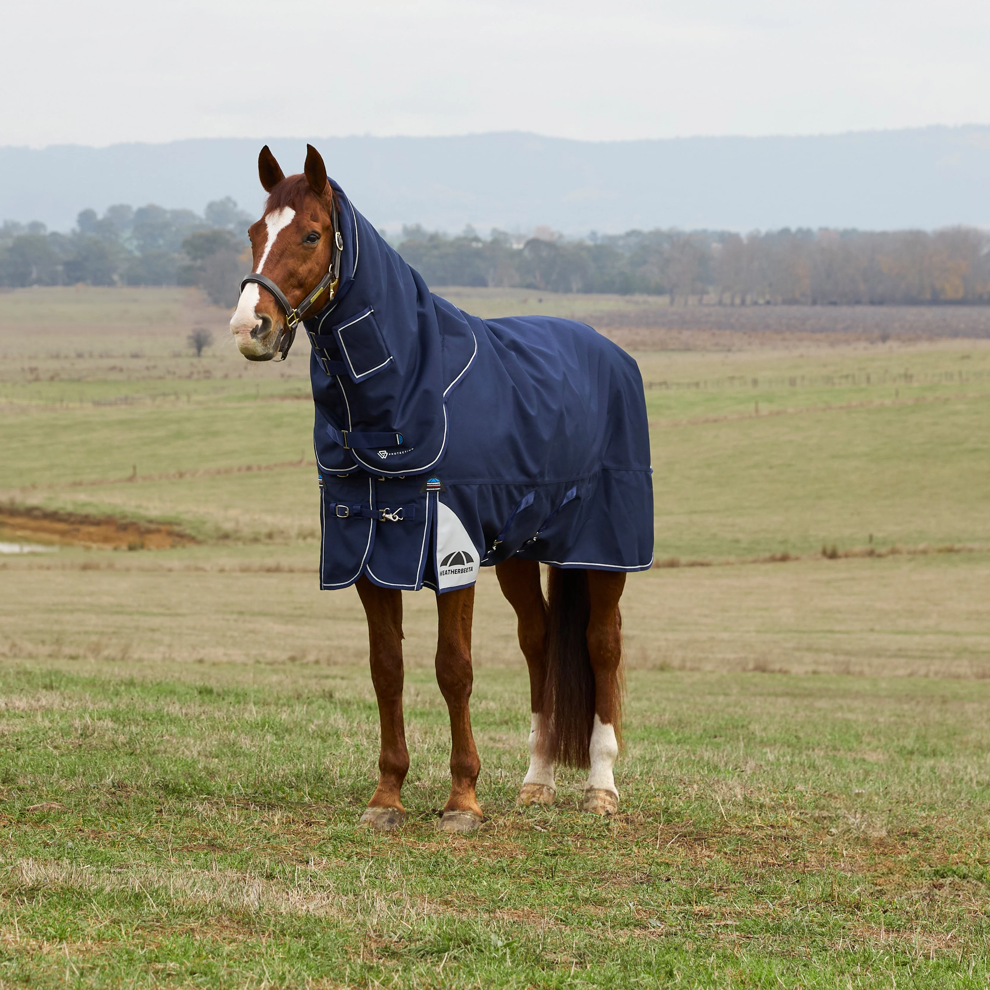 Weatherbeeta Comfitec Ultra 100G Detach-A-Neck Turnout - Image 20