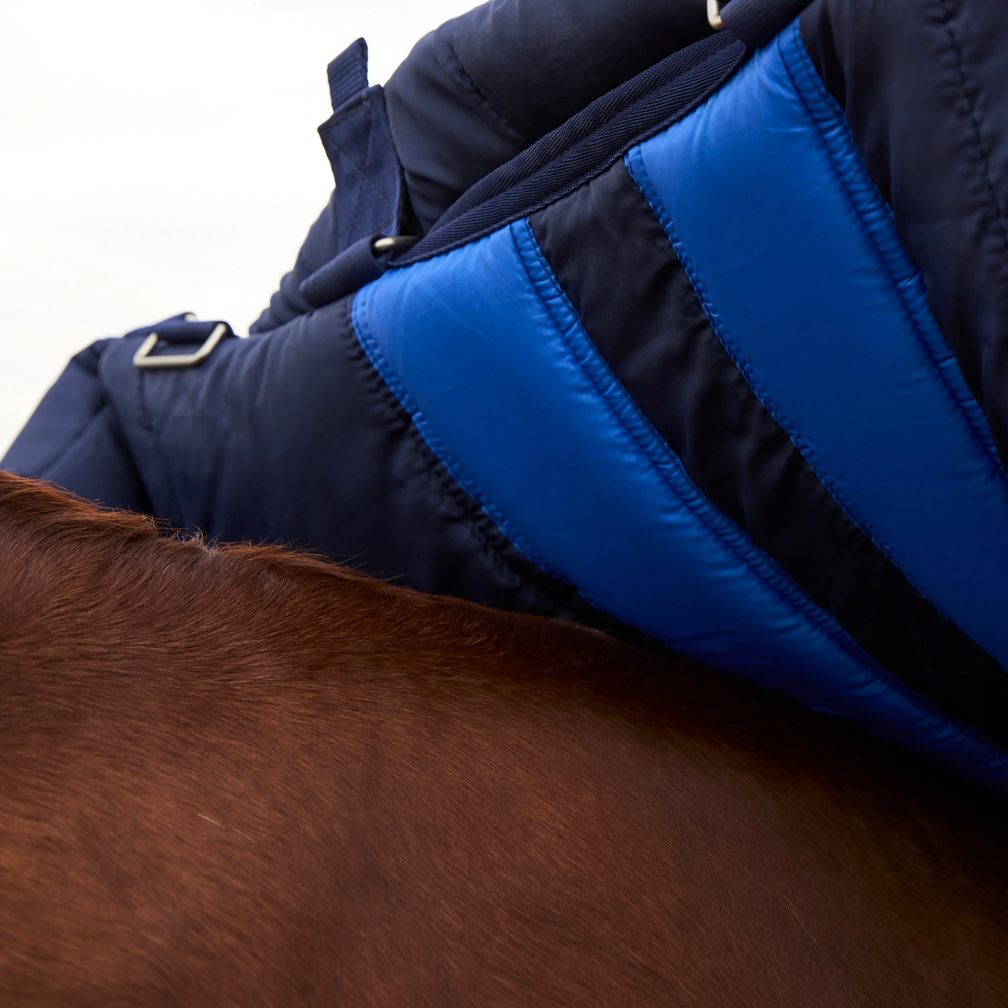 Weatherbeeta Comfitec Ultra 100G Detach-A-Neck Turnout - Image 35