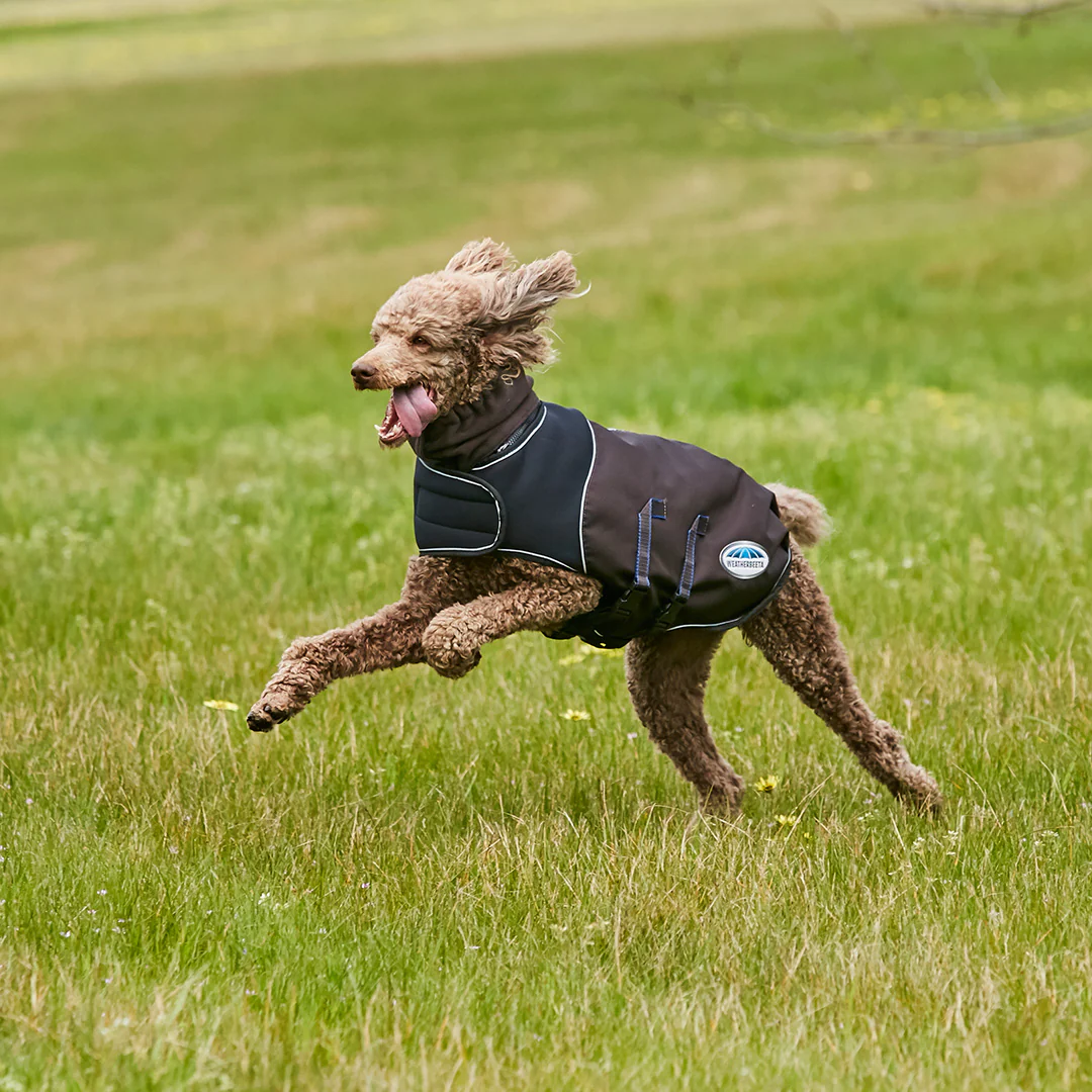 Weatherbeeta Comfitec Ultra Cozi Dog Coat Medium/Lite - Image 3