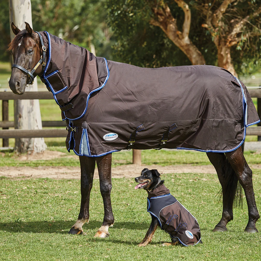 Weatherbeeta Comfitec Ultra Cozi Dog Coat Medium/Lite - Image 4