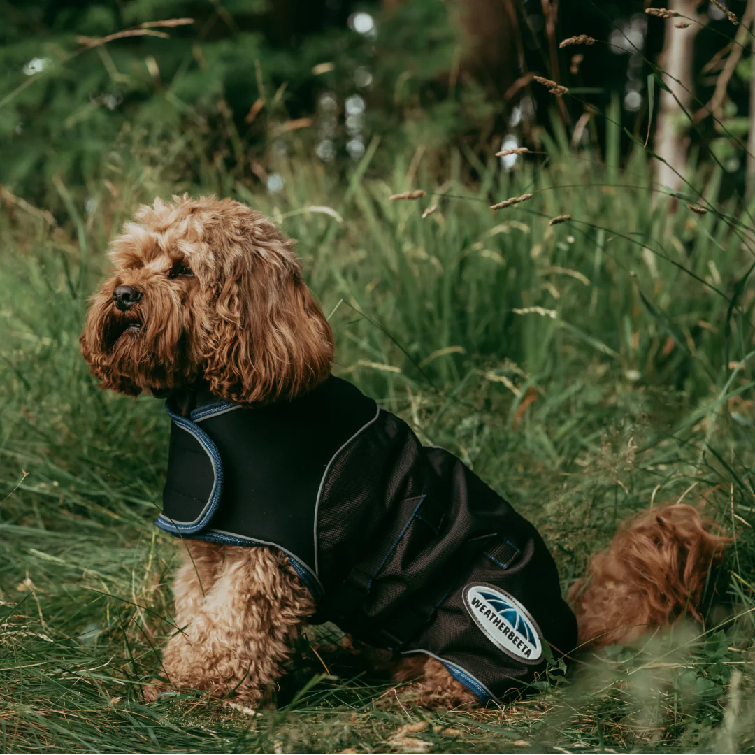 Weatherbeeta Comfitec Ultra Cozi Dog Coat Medium/Lite - Image 5