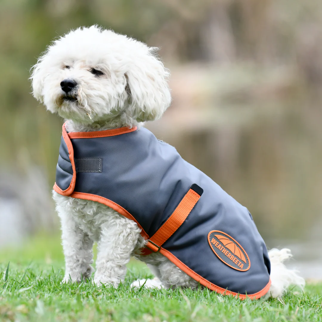 Weatherbeeta Comfitec Windbreaker Free Parka Dog Coat - Image 5