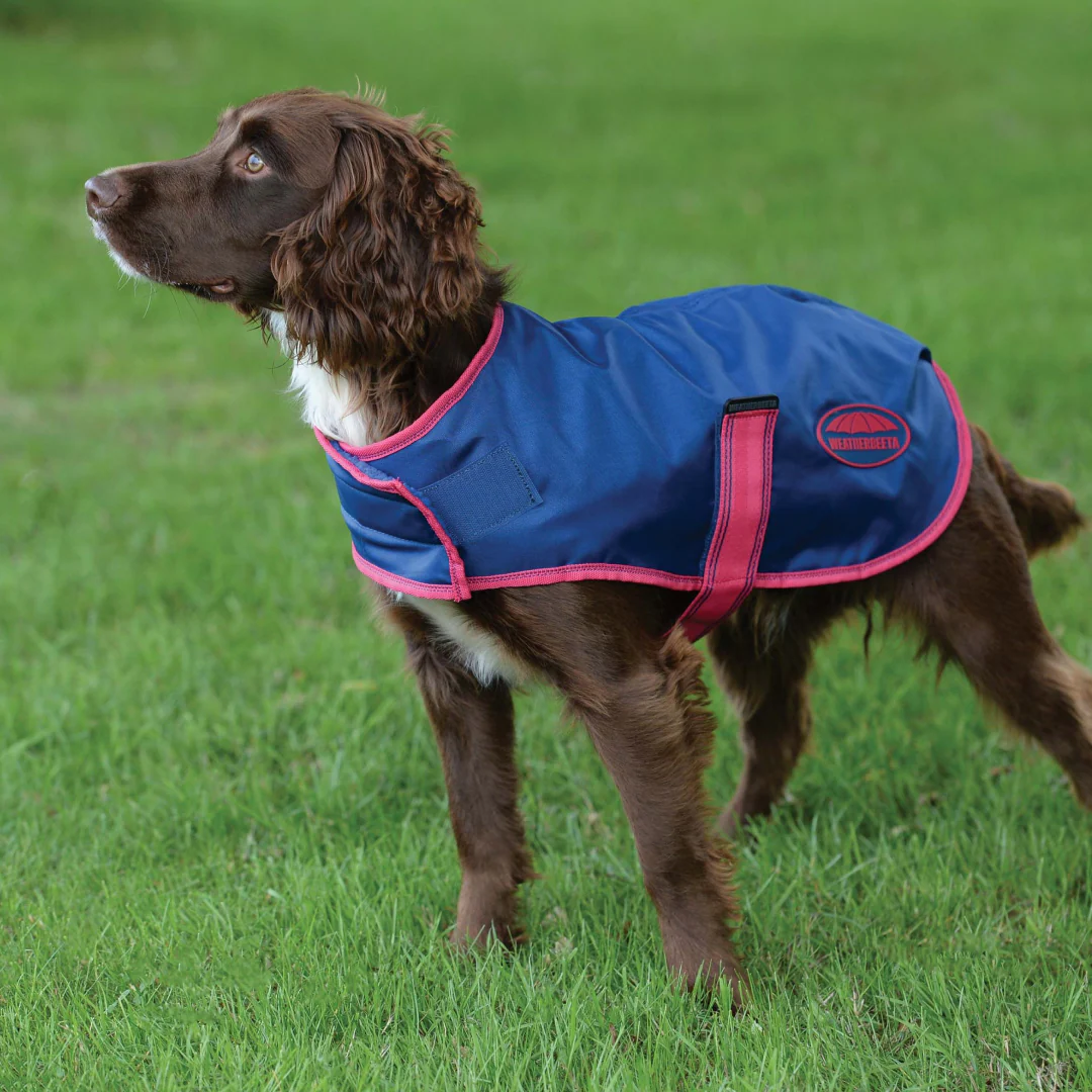 Weatherbeeta Comfitec Windbreaker Free Parka Dog Coat - Image 7