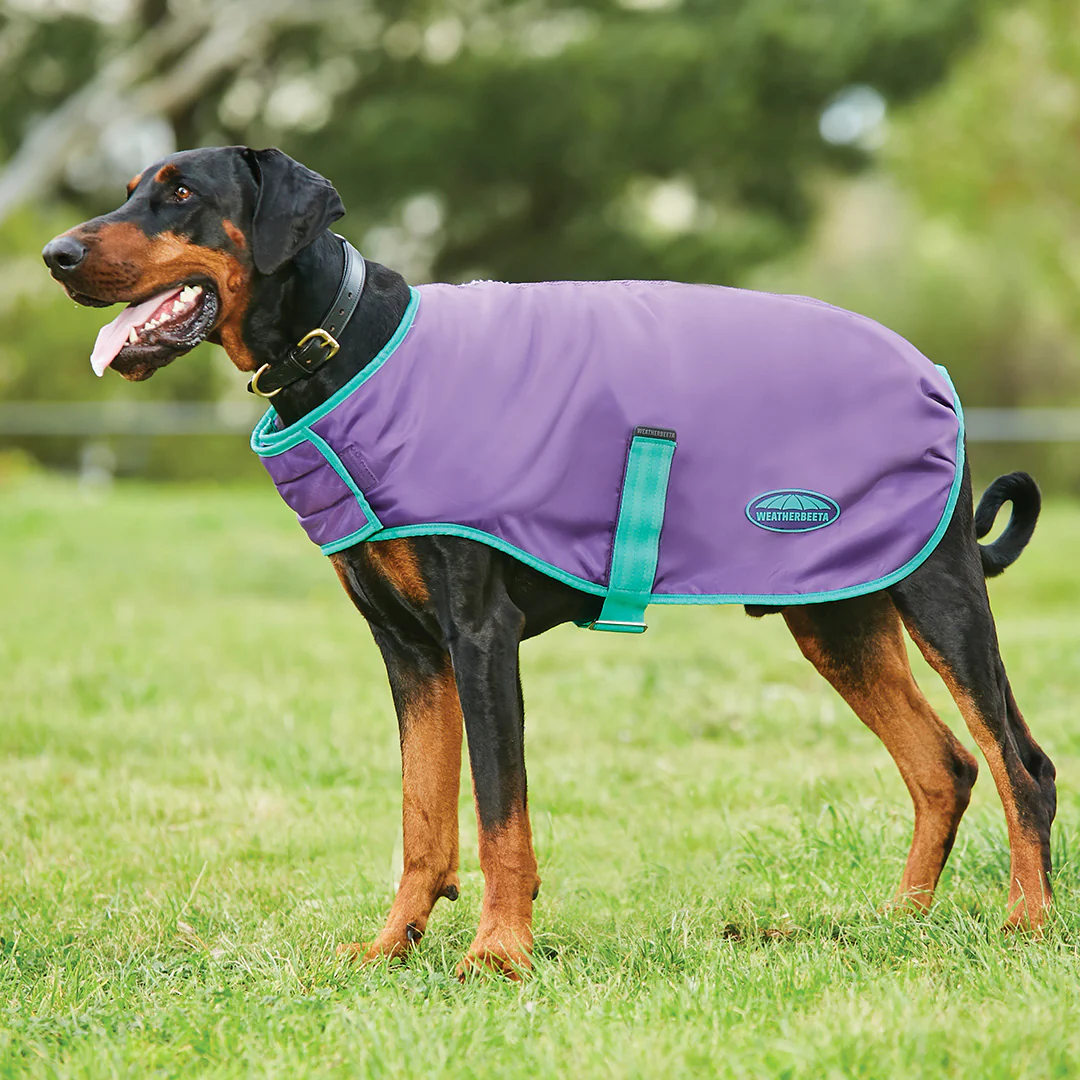 Weatherbeeta Comfitec Windbreaker Free Parka Dog Coat - Image 8