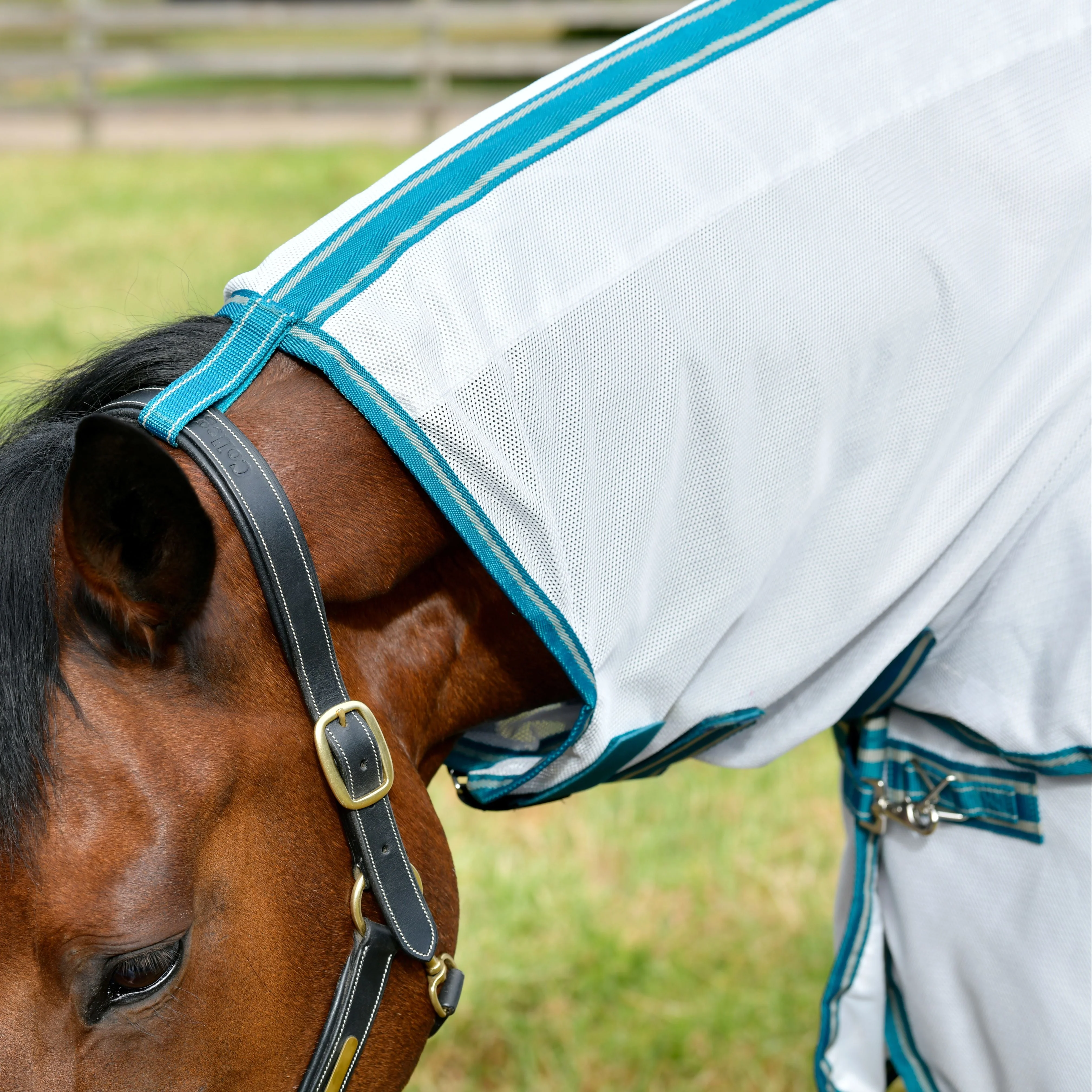 Weatherbeeta Comfitec Zephyr Plus Mesh Combo Neck - Image 14