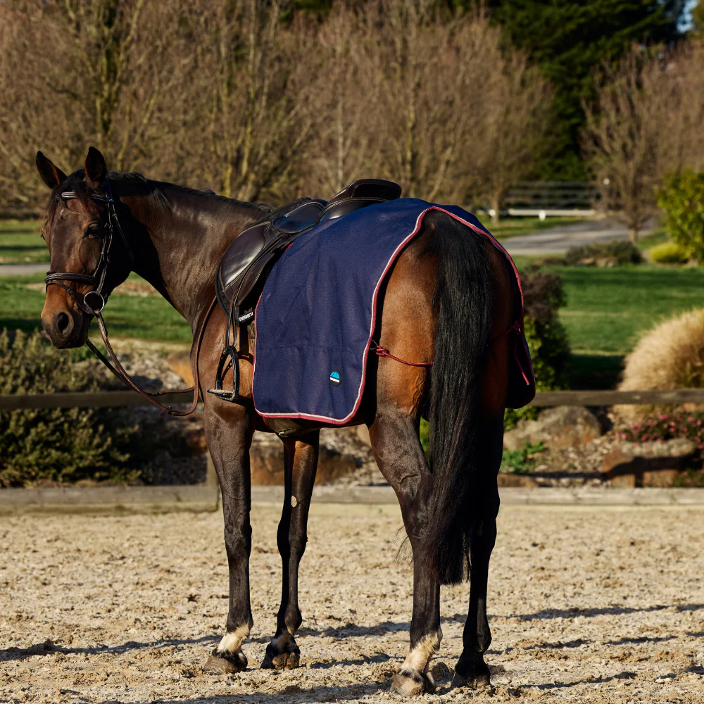 Weatherbeeta Essential Fleece Lined Quarter Sheet - Image 3
