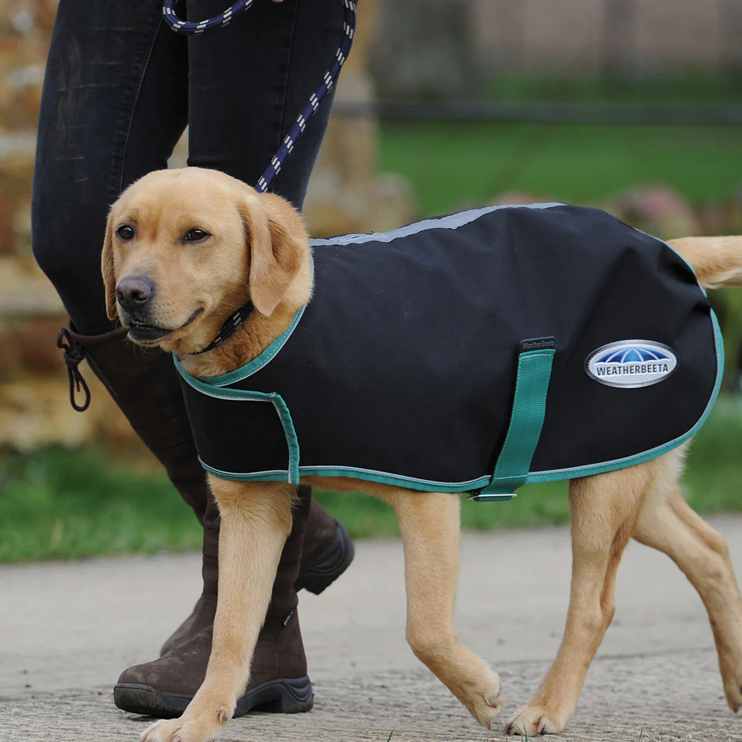 Weatherbeeta Green-Tec 900D Dog Coat Lite Plus - Image 2