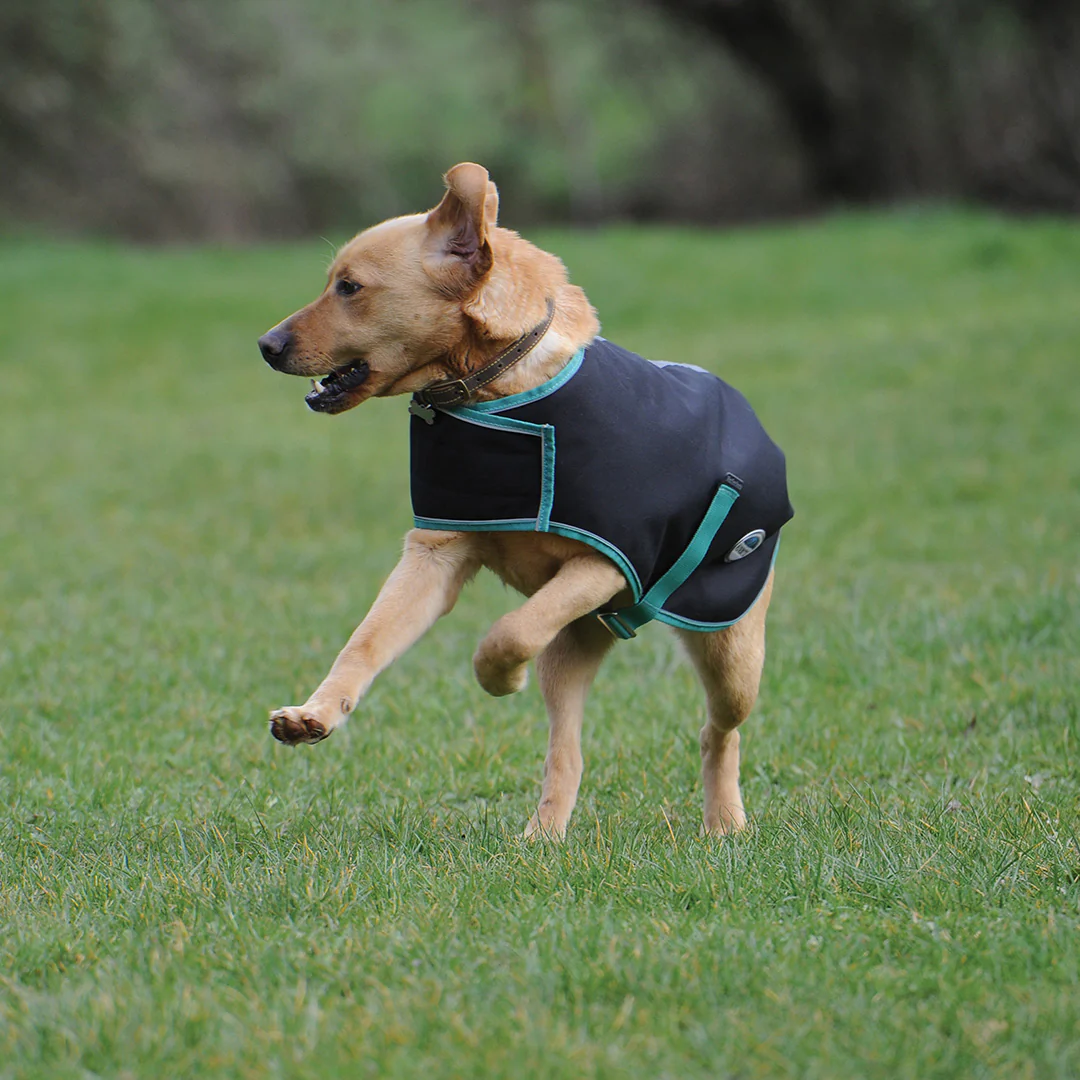 Weatherbeeta Green-Tec 900D Dog Coat Lite Plus - Image 3
