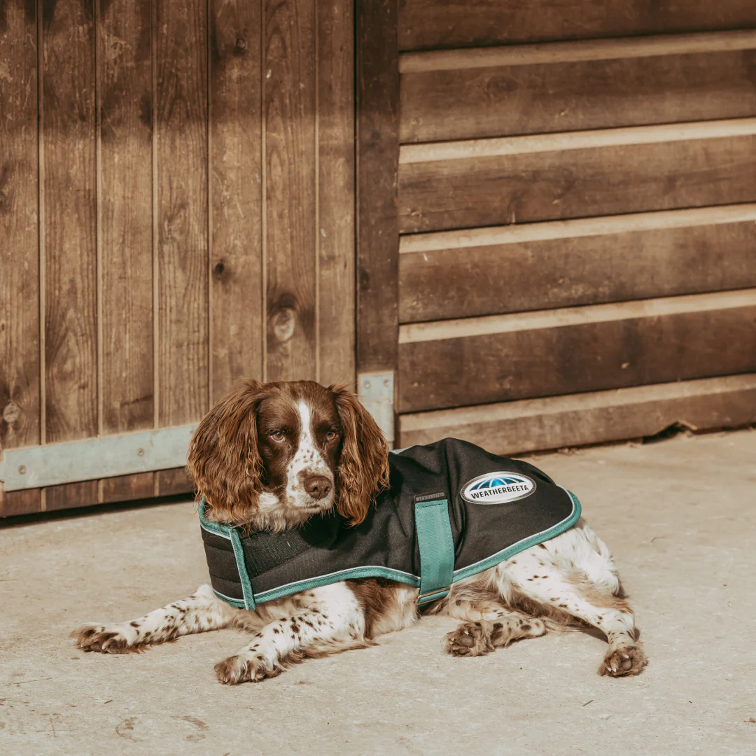 Weatherbeeta Green-Tec 900D Dog Coat Lite Plus - Image 7