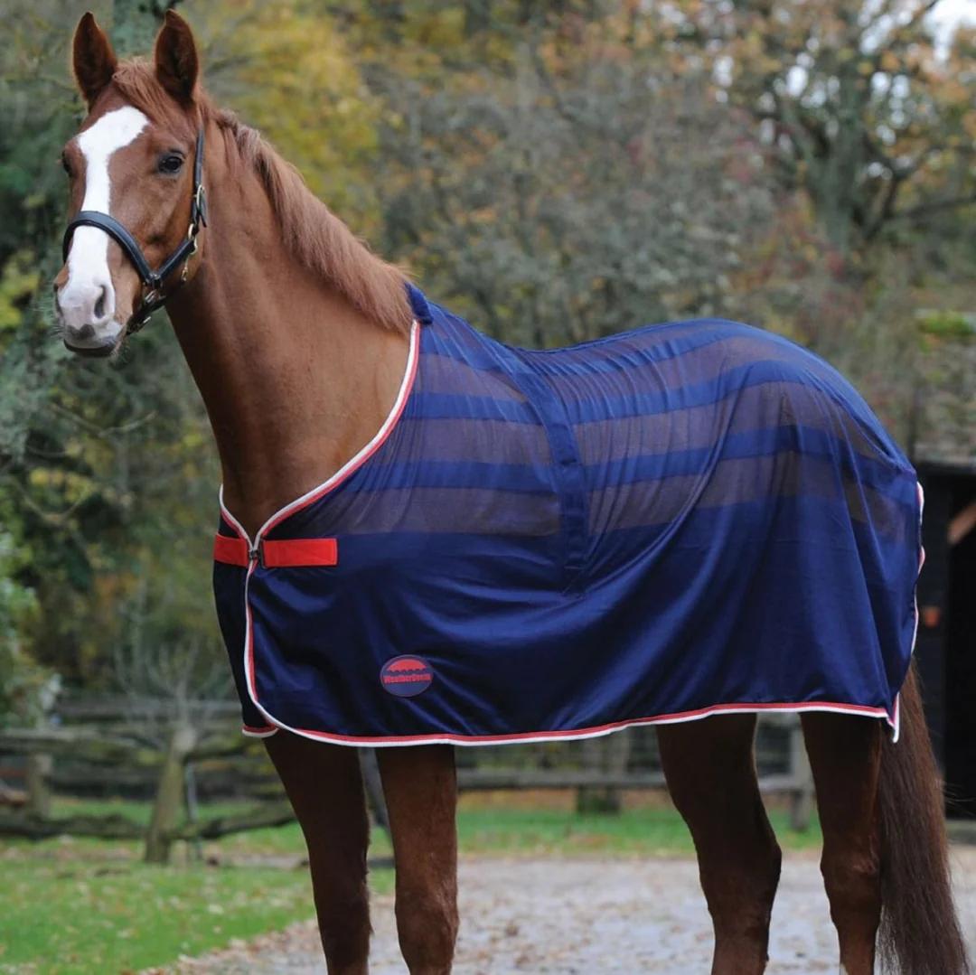 Weatherbeeta Scrim Cooler Standard Neck - Image 4