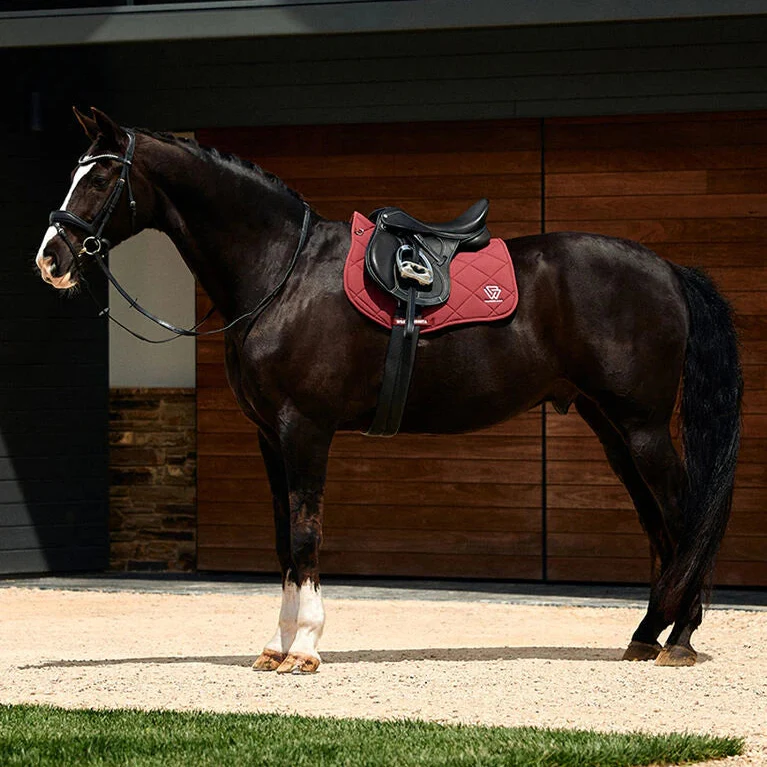 Weatherbeeta Softshell Pro 3D Air-Tec All Purpose Saddle Pad - Image 11