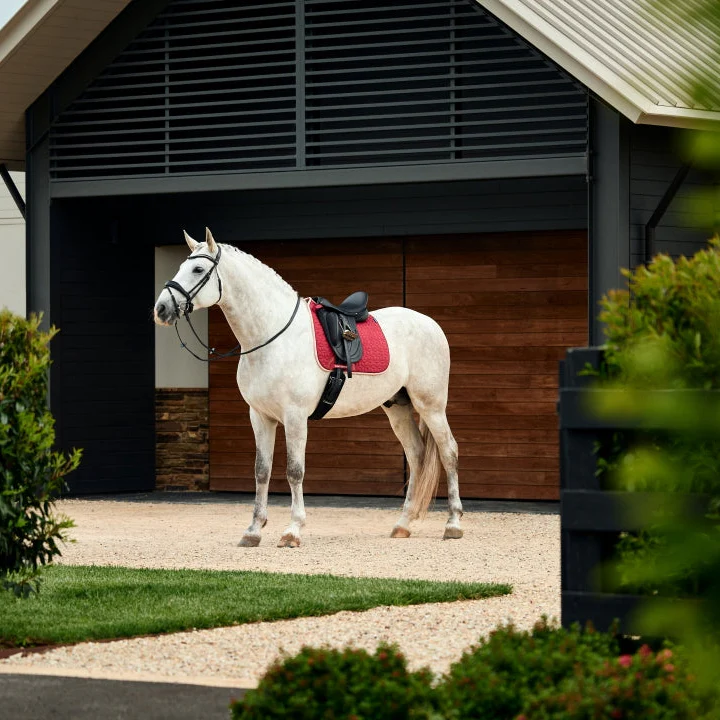 Weatherbeeta Suede Elite Air-Tec Dressage Saddle Pad - Image 31